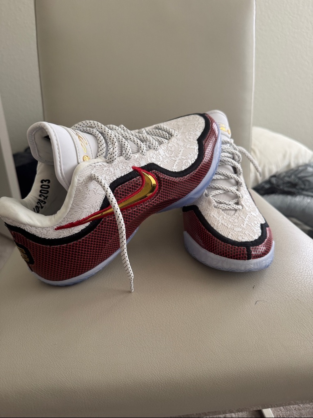 LeBron XXIII